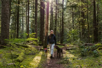 Wanderweg durch den Spessartwald
