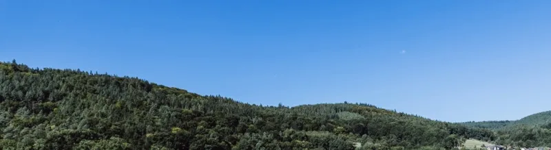 Panorama of the Spessart woodlands in the evening light